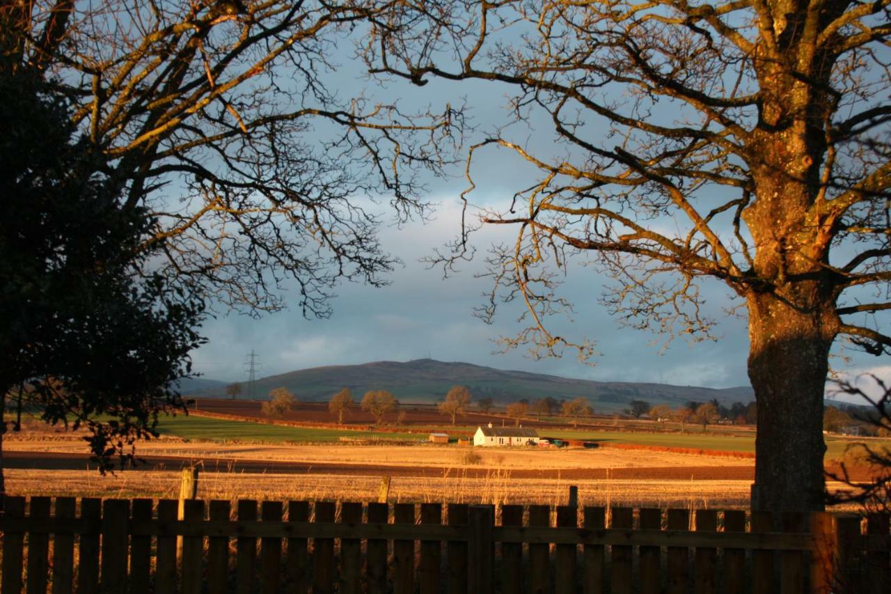 Bed and Breakfast The Highlandman Station à Crieff Extérieur photo